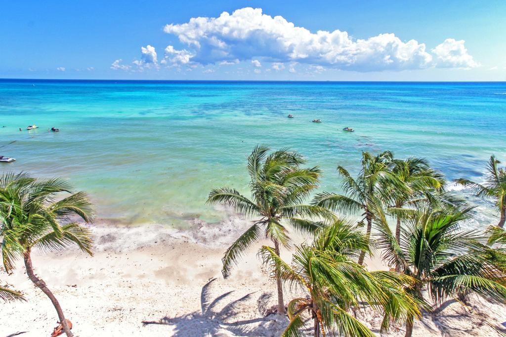 Beachfront Condo, 2 Bedroom - Ocean View At Corto Maltes Apartamento *